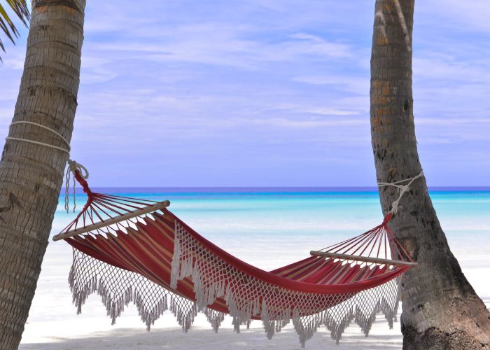 Keep Your Home Safe While You’re Away Simple Steps to Secure Your Home During Vacation